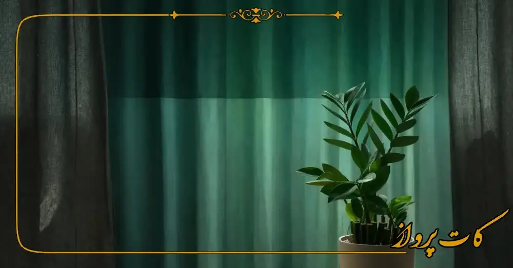 پرده مخمل کالیفرنیا