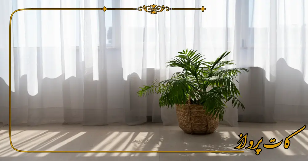 بهترین پرده فروشی در میناب 